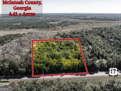 4.41 Acres Hwy #17, Townsend, GA, 31331
