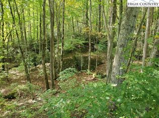 Grandfather View St, Banner Elk, NC 28604