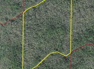 Gator Walk, Cedar Key, FL 32625