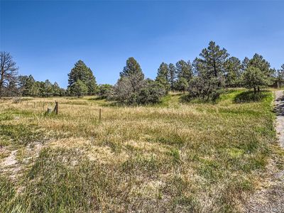 Ponderosa, Franktown, CO, 80116