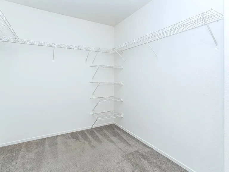 5536 La Pelusa St — Photo 11