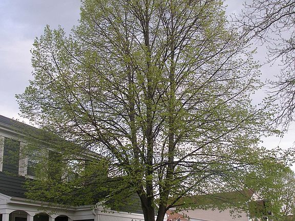 4th image of 165 Longridge Dr
