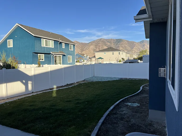 Beautiful Back Yard
