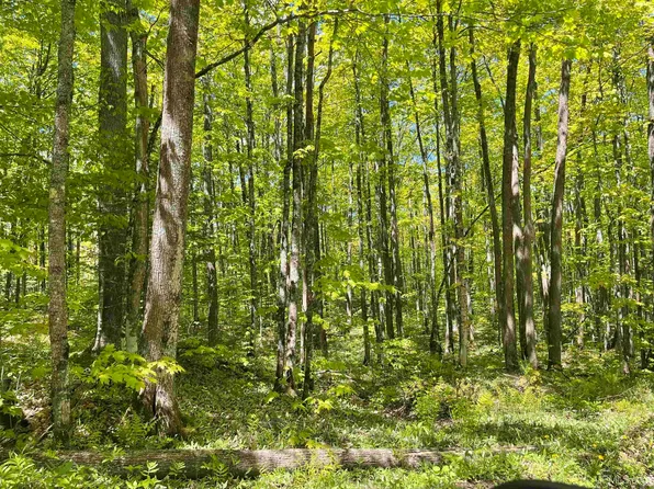 Korpela Rd, Wakefield, MI 49968