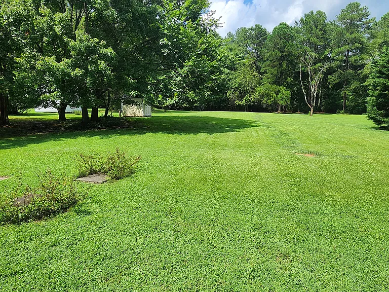open landscaped back yard - plenty of room for anything!