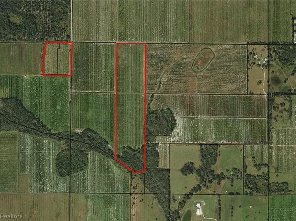 Schontag Rd, Wauchula, FL 33873