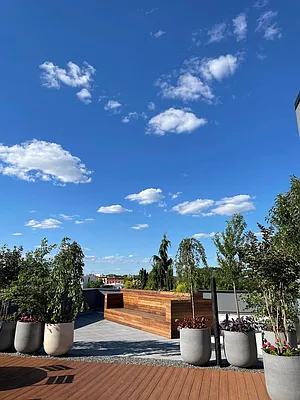 Rented by ABODE NYC LLC | media 22