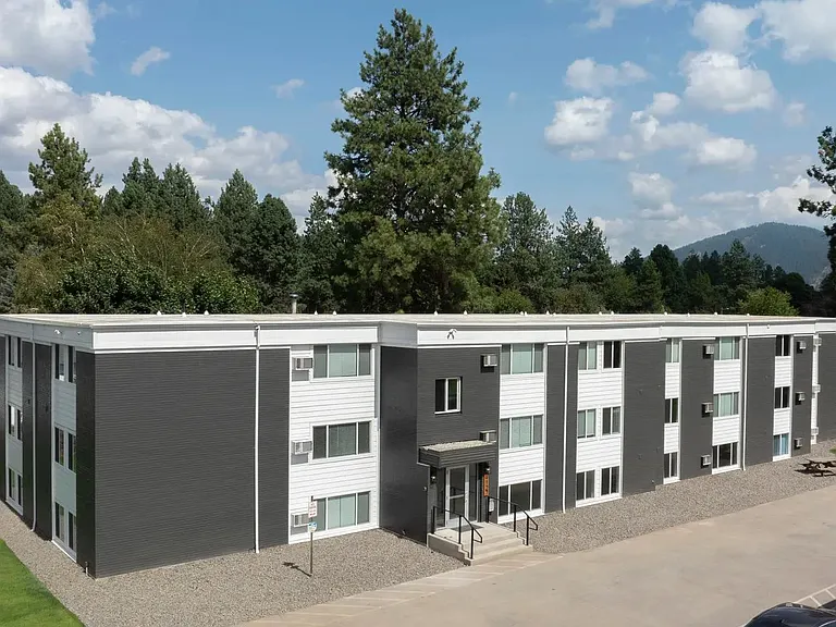 White Pine — Photo 1
