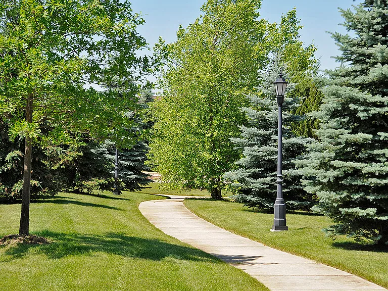 Walking Trail