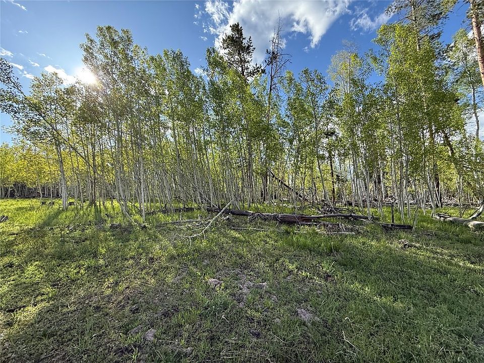 1st image of TBD Halter Trail