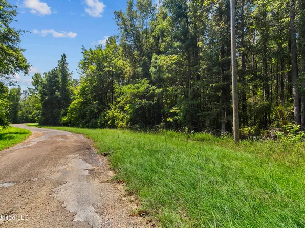 Jamison Ct, Brandon, MS 39042