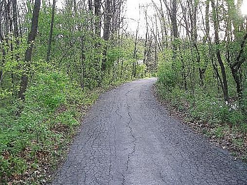 Driveway to home