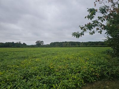 67 Savagetown Rd #671, Belle Haven, VA, 23306