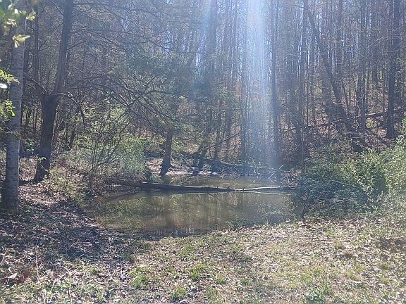 2nd image of 637 Walk Log Br