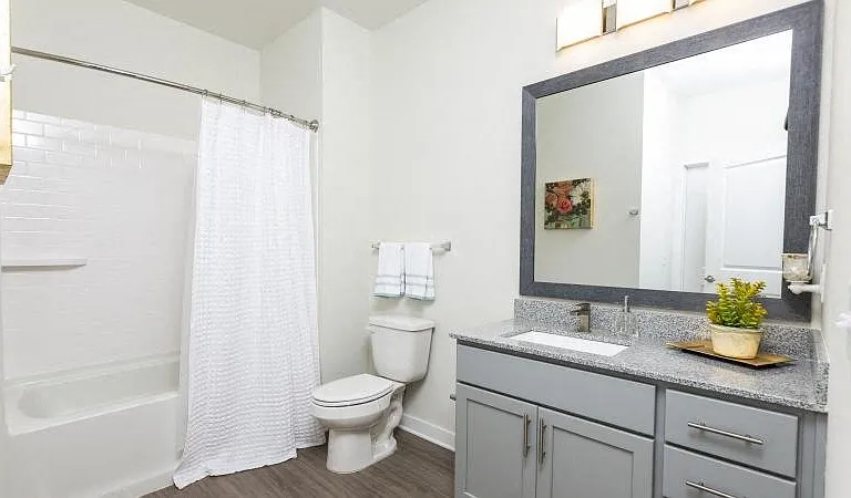 Bathroom with a tub and shower, toilet, and vanity