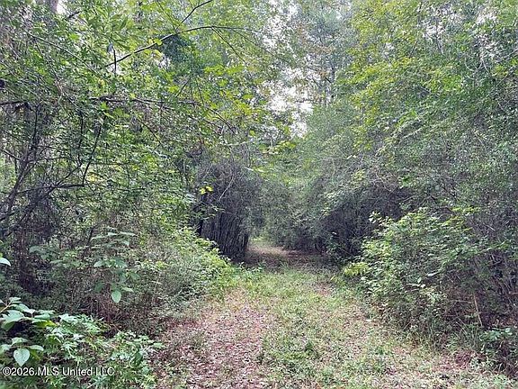 4th image of 0 Highway 439 Ln