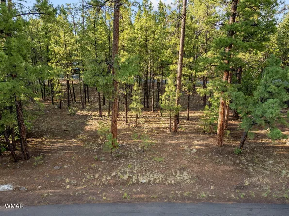 6938 Palomino Dr, Pinetop, AZ 85935