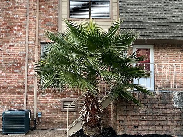 2019 Place Rebecca Ln UNIT G-10