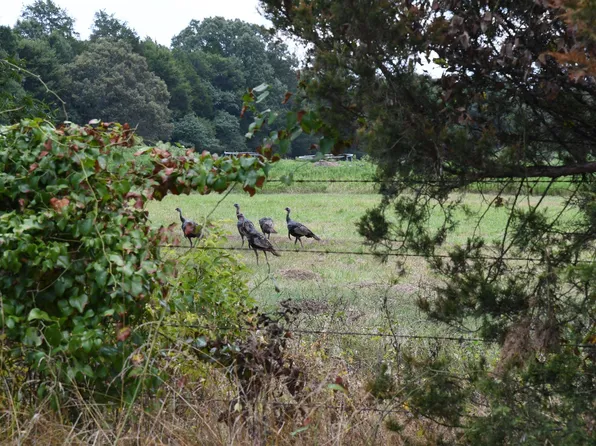 (undisclosed Address), Wynne, AR 72396