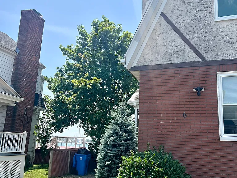 6 Elmwood Ct #2 — Photo 25