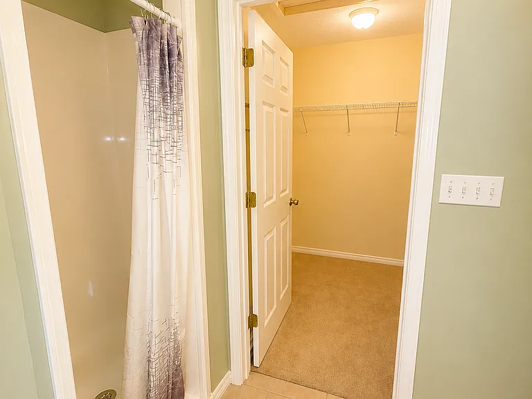 Primary Bathroom Shower and Closet