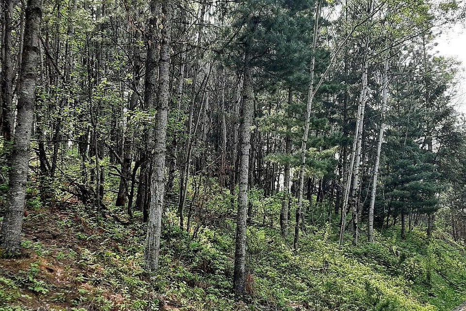 1st image of 2 Parcels Alhambra Rd