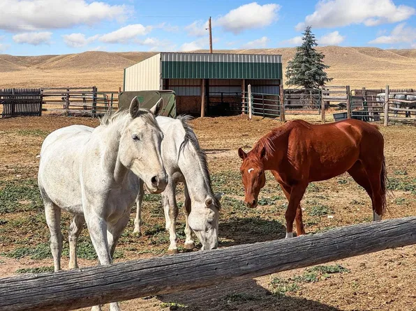 70521 County Road 138, Carr, CO 80612