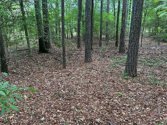 3rd image of 0 County Road 77 Rd