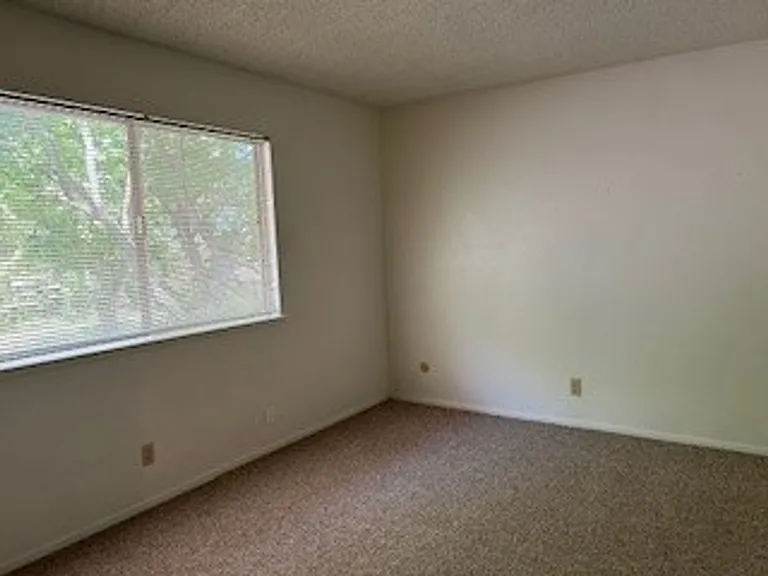 1703 Donner Ave #3 — Photo 8