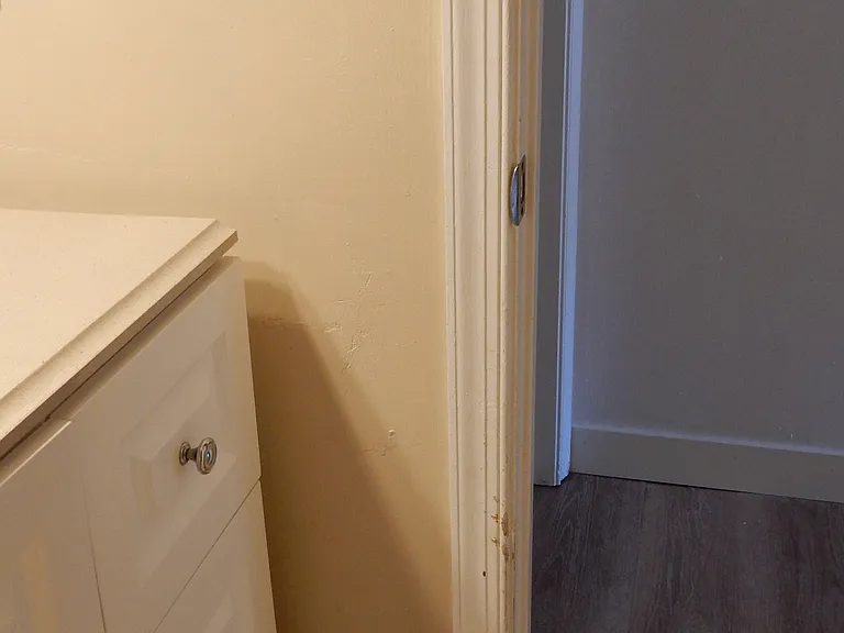 807 Lex St — Photo 19