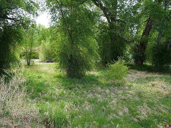 5th image of 105 Emerald Ln