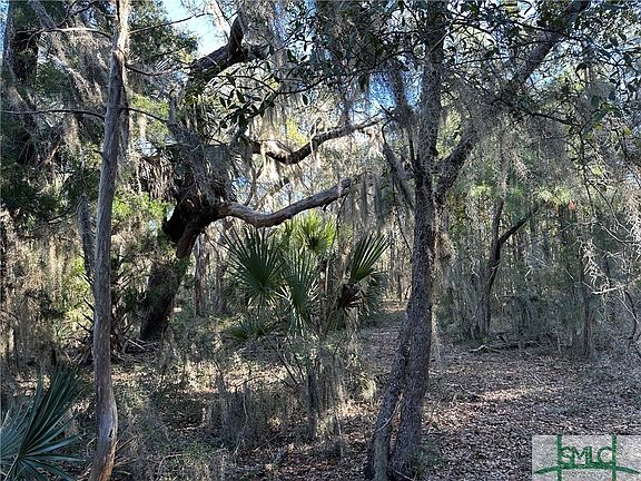 3rd image of 0 BOSQUET MARAIS