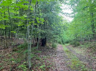 240 Acres Off, Skandia, MI 49885