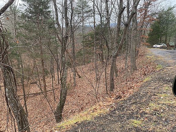 Lot slopes towards the lake.