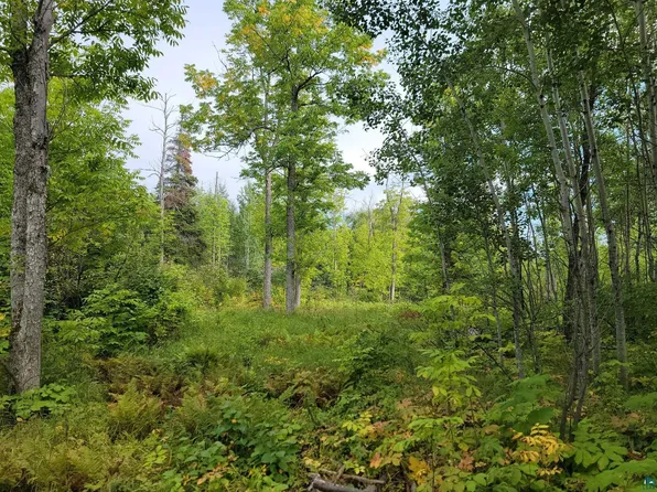 20X Sled Dog Trl, Hovland, MN 55606