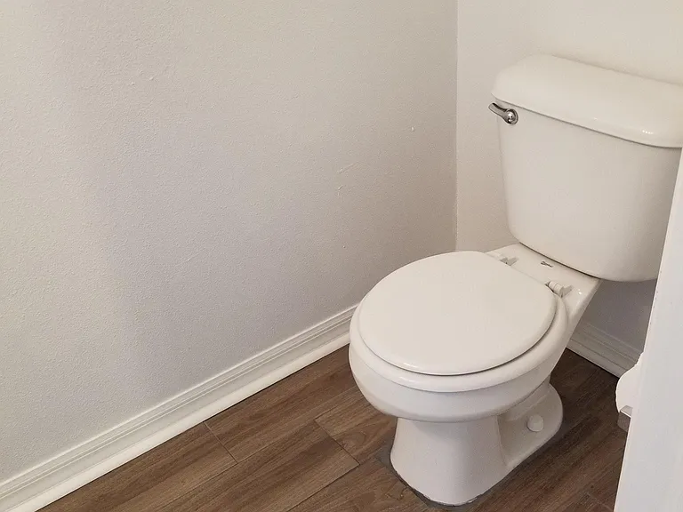 15702 Fishhawk Falls Dr — Photo 13