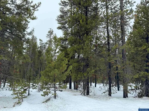 Two Rivers Rd Lot 9, Crescent, OR 97733