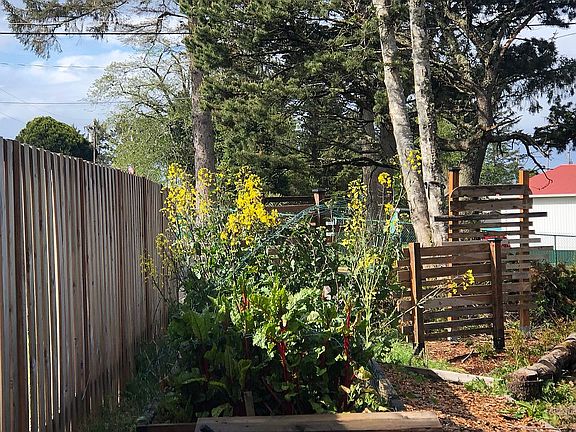 Full fencing down one side 