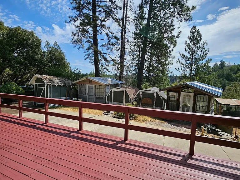 1155 Swanson Ln — Photo 34