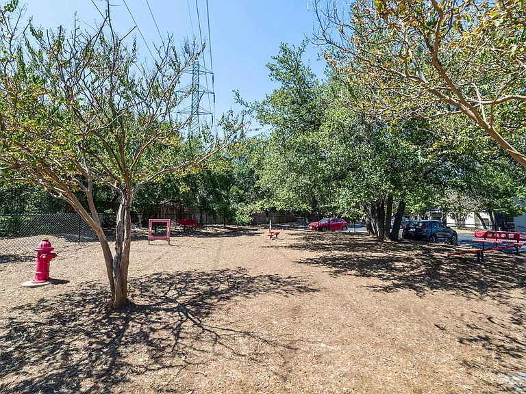 Dog Park