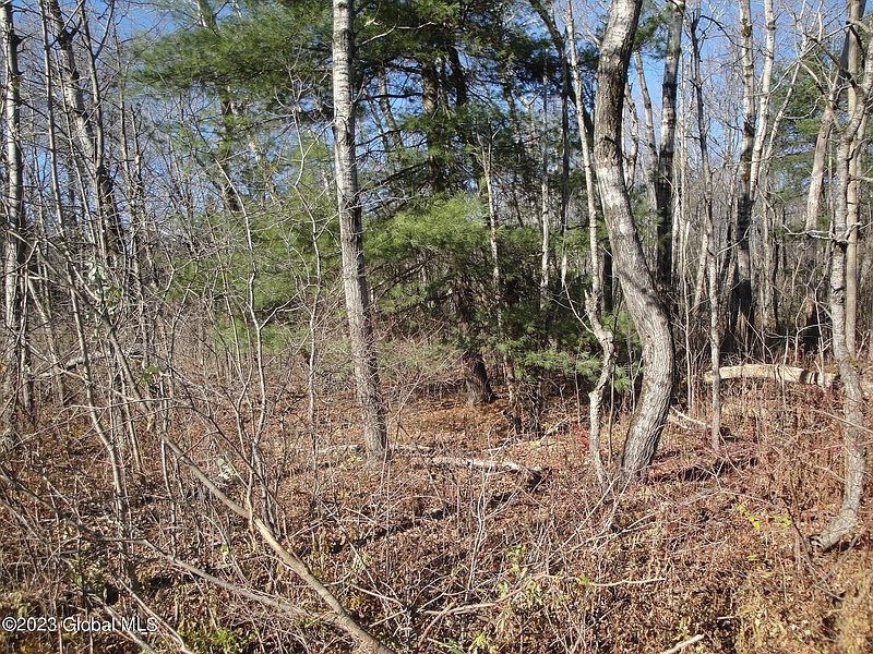 4th image of L25 County Route 410