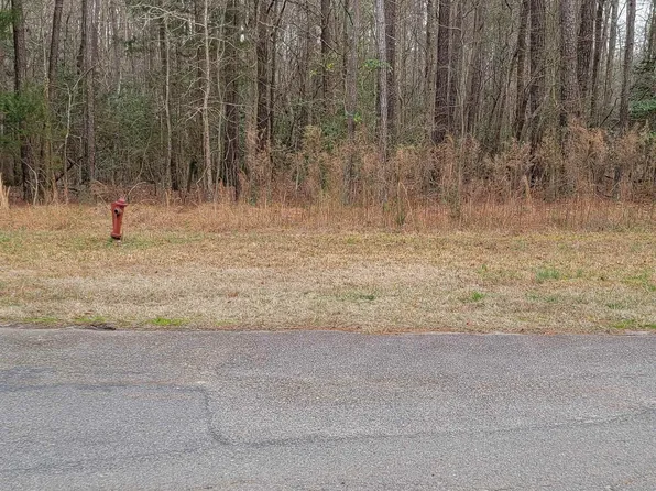 152-154 Nashua Dr #2548-2549, Louisburg, NC 27549