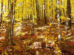 LOT 30 Deer Lake Lane, Meteor Twp, WI 54835