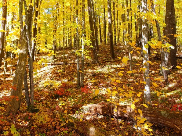 LOT 30 Deer Lake Lane, Meteor Twp, WI 54835