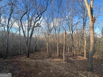 57 Teel Mountain Dr, Cleveland, GA, 30528
