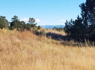 1838 Indian Wells Rd #126, Cotopaxi, CO 81223