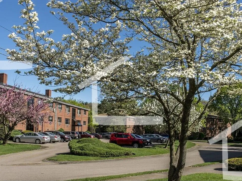 3 Grove St #3
