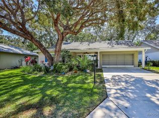 6375 Ocean Pines Ln, Spring Hill, FL 34606