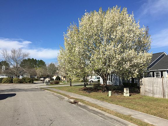 Picture of cul de sac from Sapling Circle - Spring shot
