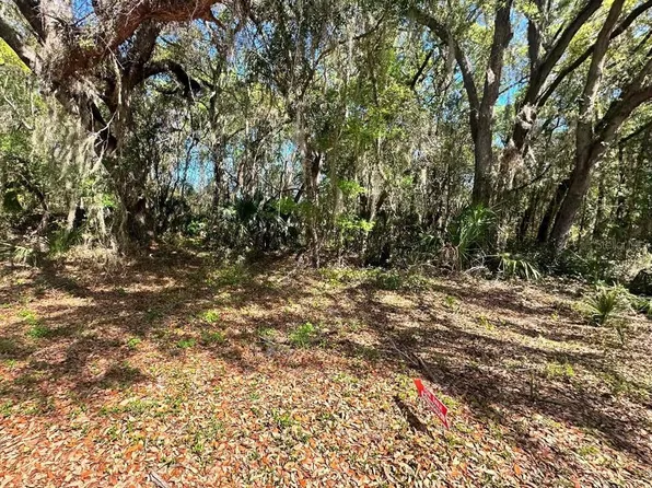 GUAVA TERRACE LOT 26, OCKLAWAHA, FL 32179